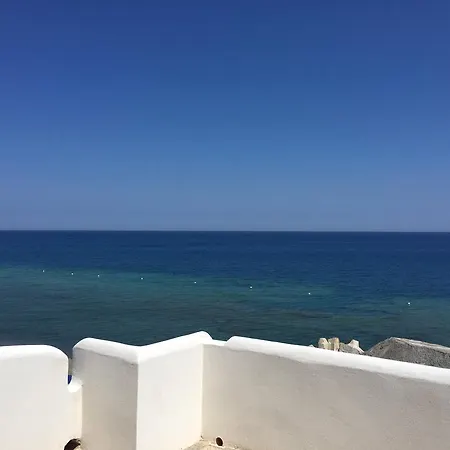 Il Gabbiano